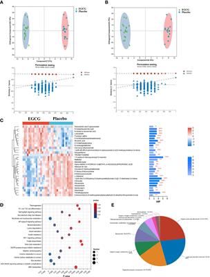The therapeutic role and potential mechanism of EGCG in obesity-related precocious puberty as determined by integrated metabolomics and network pharmacology